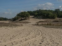 NL, Noord-Brabant, Heusden, Loonse en Drunense Duinen 64, Saxifraga-Jan van der Straaten